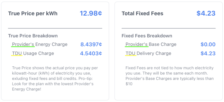 Provider and TDU Charges